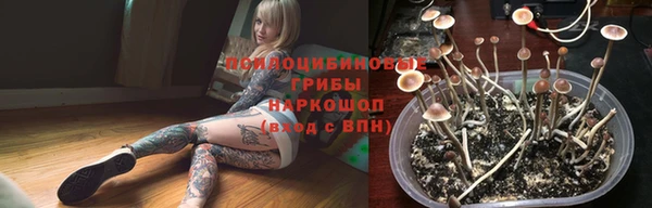 гидропоника Абдулино