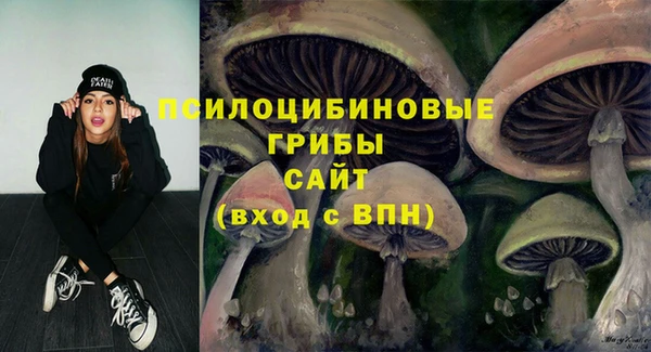 гидропоника Абдулино