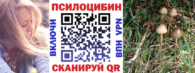 Галлюциногенные грибы прущие грибы  Абаза 