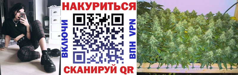 блэк спрут как зайти как найти закладки Абаза Марихуана конопля